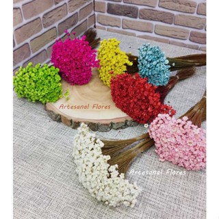 Sempre vivas desidratadas para decoração lembrancinha arranjo