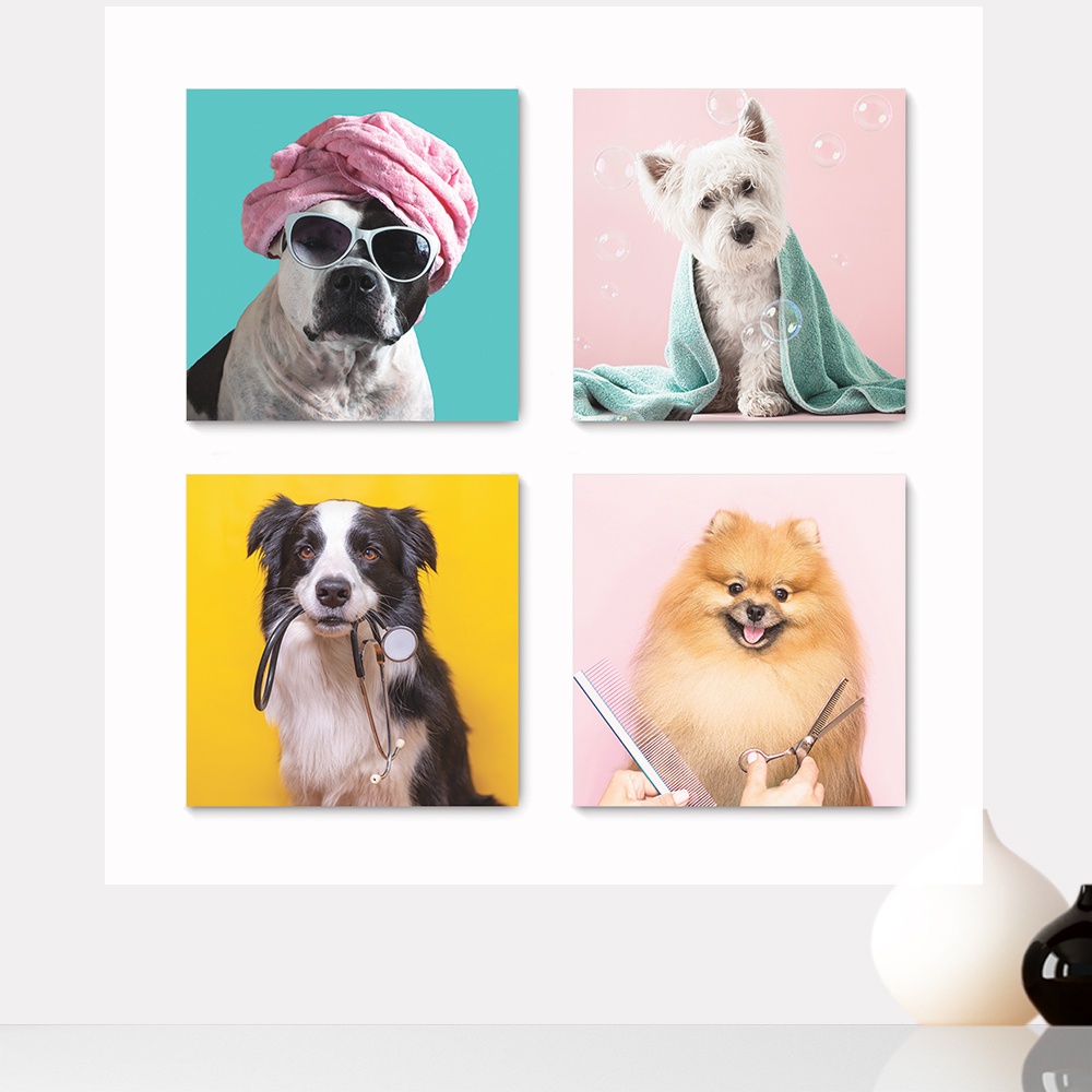 Kit 4 Quadros Decorativos Pet Shop Veterinário Cachorros Gatos Placas - 0008ktpl4 em Oferta na Shopee
