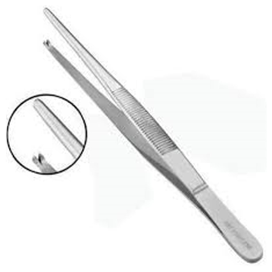 Pinça Dente Rato 14,5 CM Inox Material Super Resistente para profissionais da saúde e Veterinária