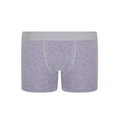 Cueca Infantil Boxer Lupinho 150-002