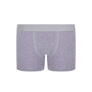 Cueca Infantil Boxer Lupinho 150-002
