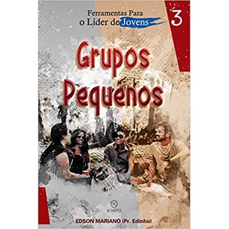 Ferramentas Para o Líder de Jovens: Grupos Pequenos (Volume 3)