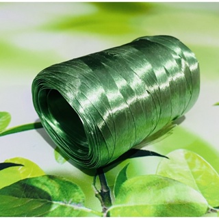 10 Rolos Fitilho Verde 5 mm 10 x 50 Metros (500 metros) em Oferta na Shopee