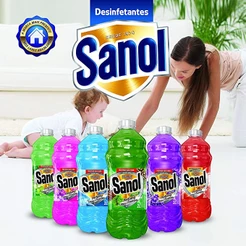 Desinfetante Sanol 2L