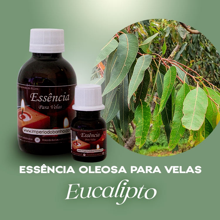 Essência Concentrada Eucalipto - Oleosa (Base Dietilfitalato) Para Velas