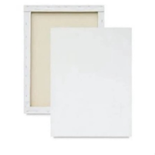 KIT 10 TELAS DE PINTURA EM TECIDO 20X30 em Oferta na Shopee