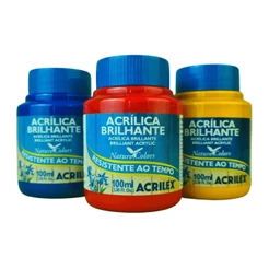 Tinta Acrílica Brilhante Acrilex 100ml
