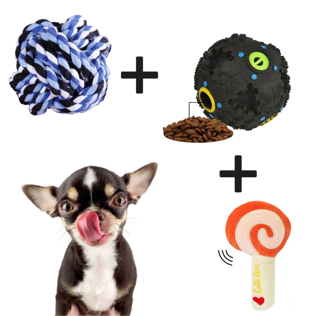 Kit 3 Brinquedos para Cachorro Pequeno Filhote Mordedor Interativo Pet ...