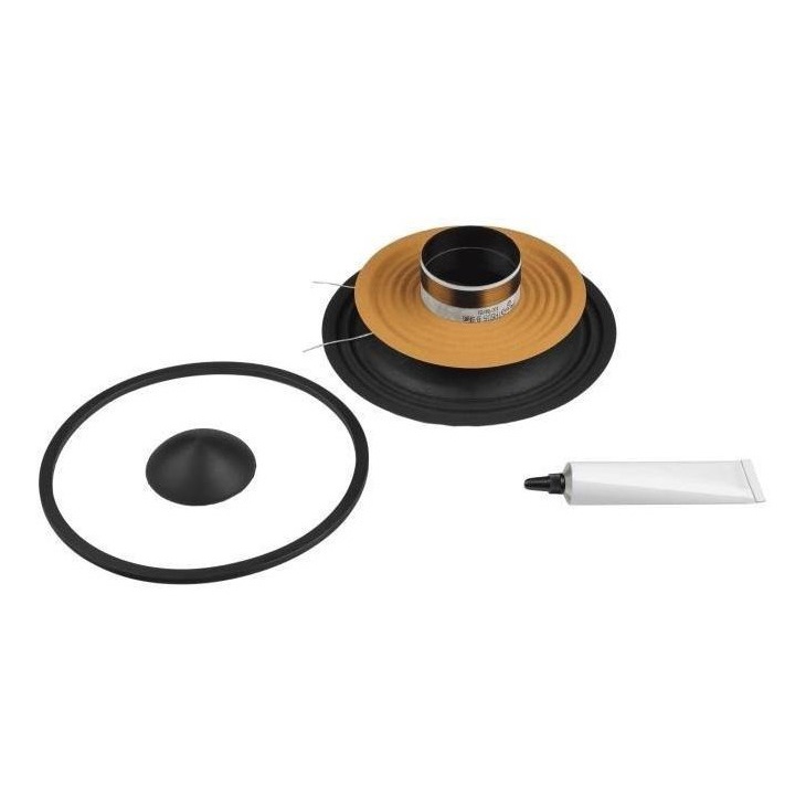 REPARO ALTO FALANTE TRITON 6 XRL 400 8 OHMS