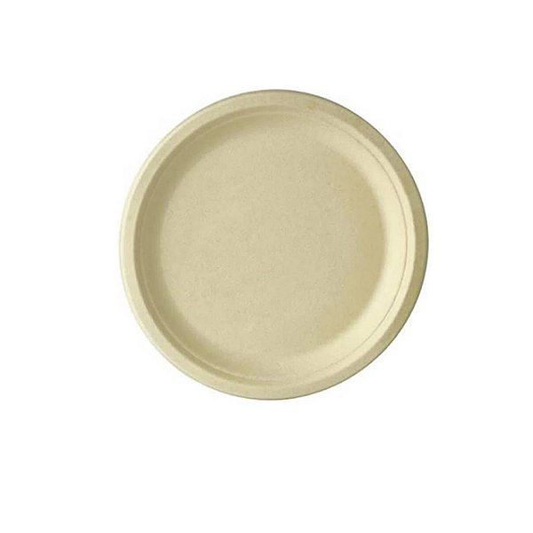 Prato Papel Biodegradável em Bagaço de Cana - 10 un -  18 cm - Silver Festas em Oferta na Shopee