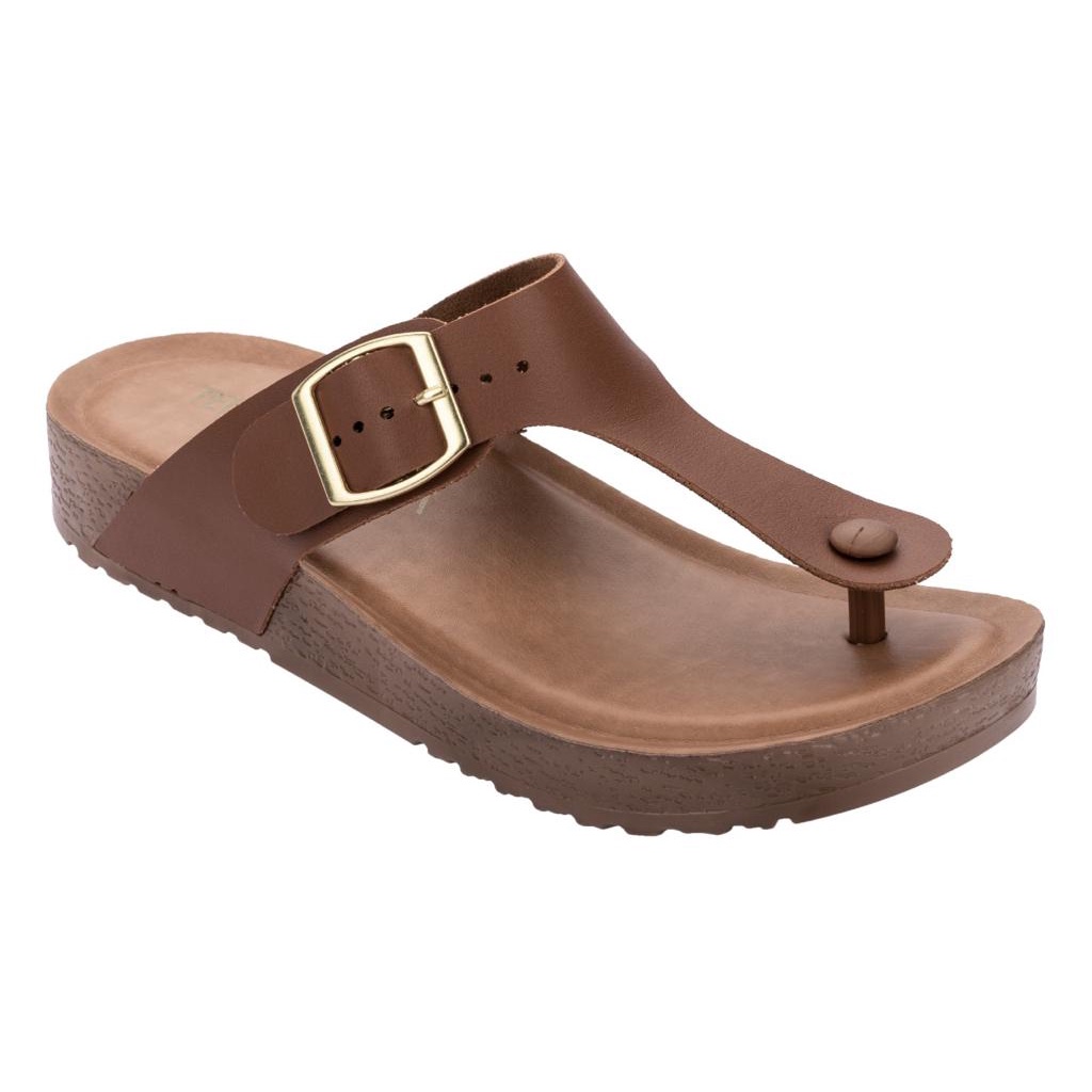 Terra e 2024 agua birken