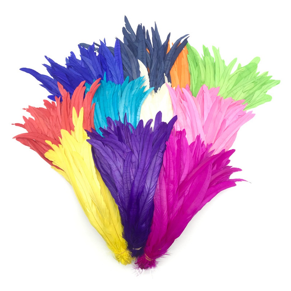 20 Pçs 25-30cm/30-35cm Natural Galo Cauda Penas Roupas Decoração Palco Desempenho Pluma Acessórios
