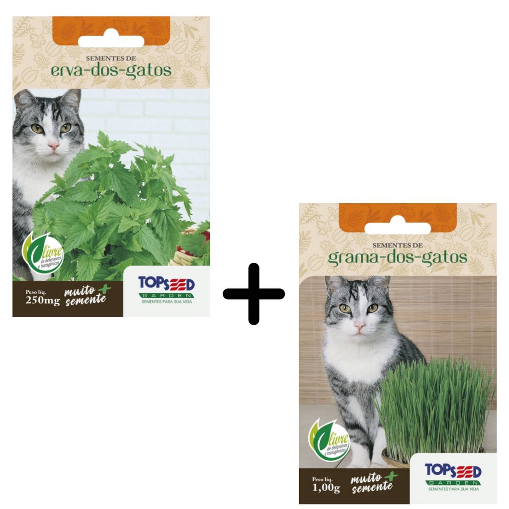 Kit Semente Erva dos Gatos[Catnip] +Grama[Cat Grass] TOPSEED em Oferta na Shopee