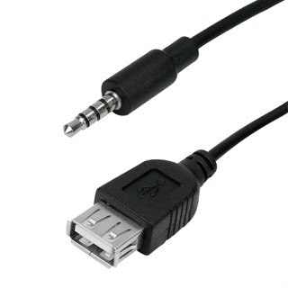 CABO AUXILIAR P2 MACHO X USB FÊMEA PEN DRIVE