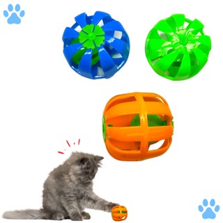 Bolinha Oval com Guizo para Gatos - Cores Sortidas - Savana