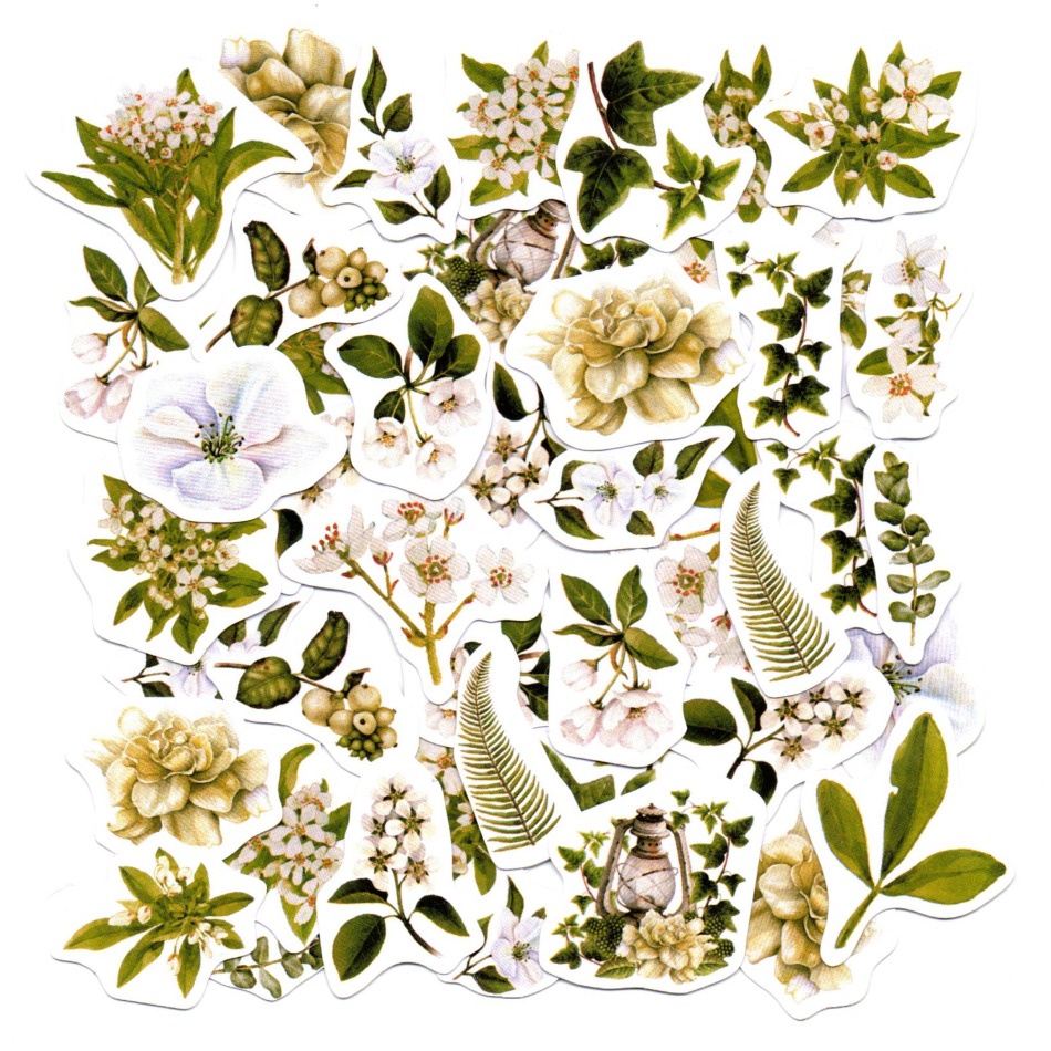 Adesivos Decorativos Scrapbook Planner 46 Peças Plantas em Oferta na Shopee