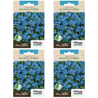 4X Sementes de Myosotis Índigo [Azul] TOPSEED