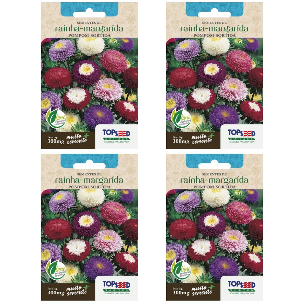 4X Sementes de Rainha Margarida Pompom [Sortida] TOPSEED