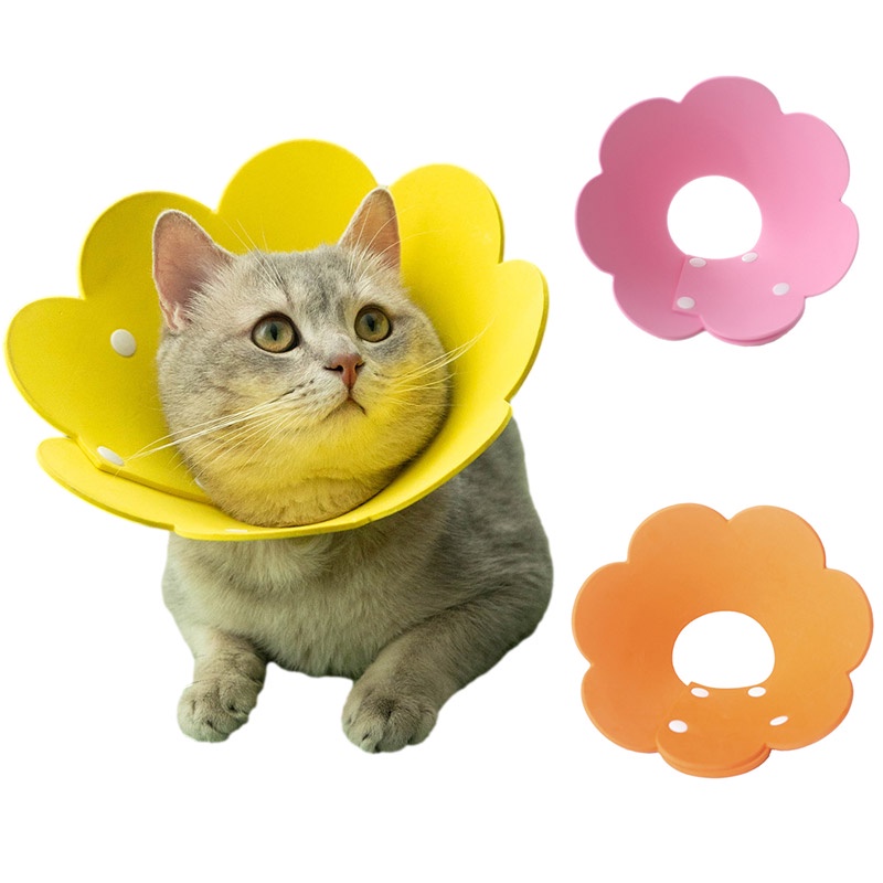 Coleira De Recuperação De Gatos Cachorro De Estimação Prevenir Mordida Elizabeth Circle E-Collar Cute Anti Lick EVA Cones De Pescoço De Gatinho Após Cirurgia A Lamber Feridas Yellow Pink S M