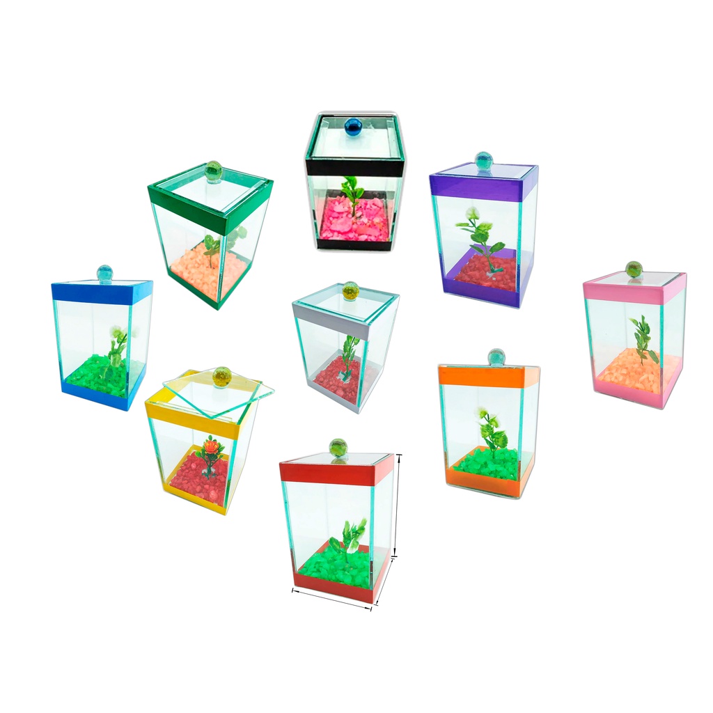 10 Beteiras 9x9x14cm Aquários Bettas Decorados Enfeites Full em Oferta na Shopee