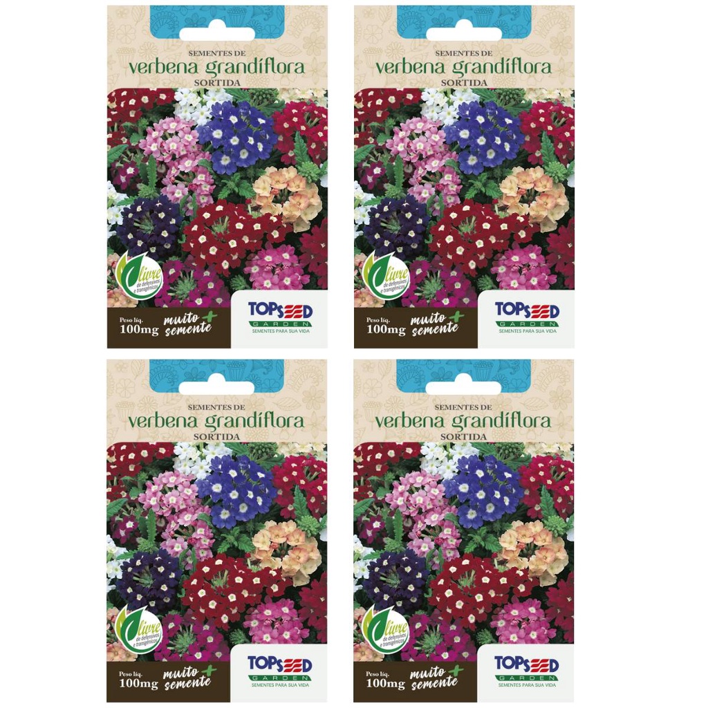 4X Sementes de Verbena Grandiflora [Sortida] TOPSEED em Oferta na Shopee