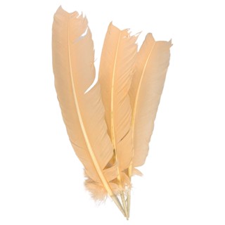 Plumas e Penas de Pato 25 uni Salmão