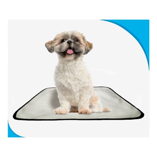 tapete higiênico para cães reutilizável lavável, Tapete de piso para pets, 01 unidade em Oferta na Shopee