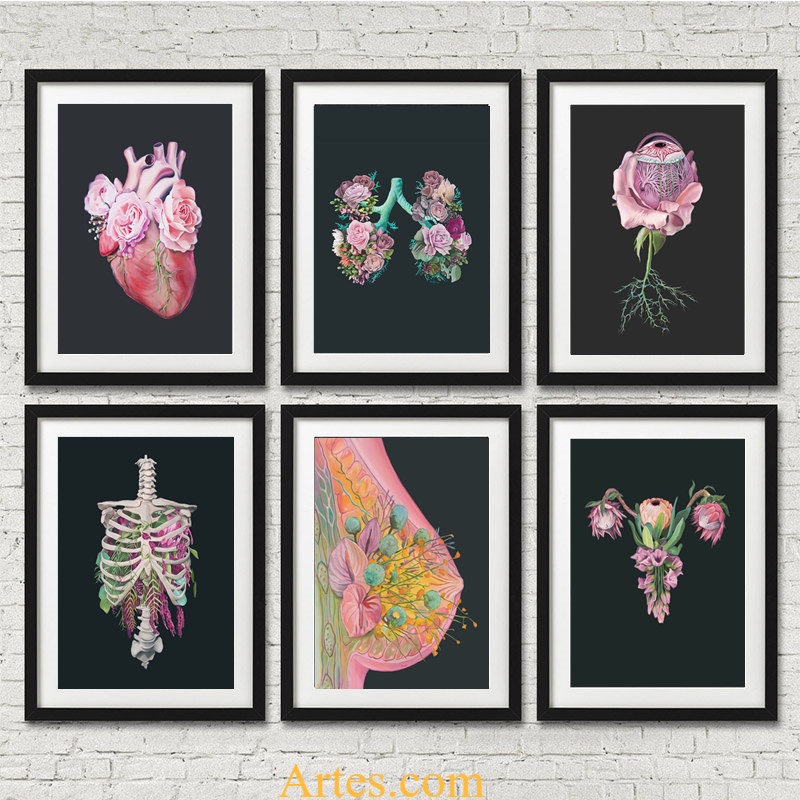 Quadro Decorativo Anatomia órgãos humanos pinturas na parede nordic arte imagem impressão pvc poster pp cola à prova dwaterproof água decoração de casa adesivo