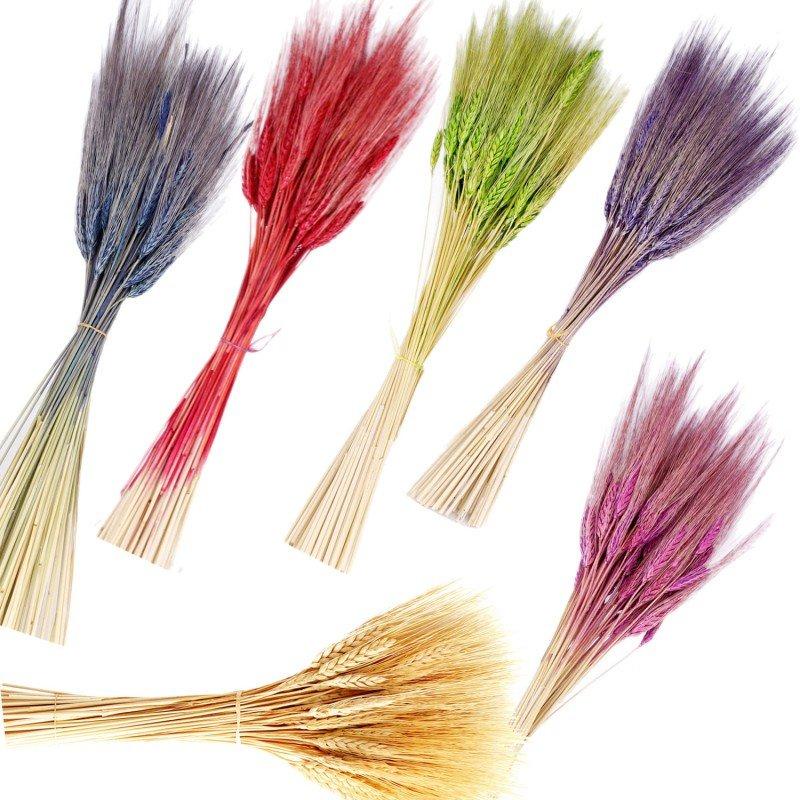 40 Unid. Trigo Seco Colorido p/ Decoração Convites Arranjos em Oferta na Shopee