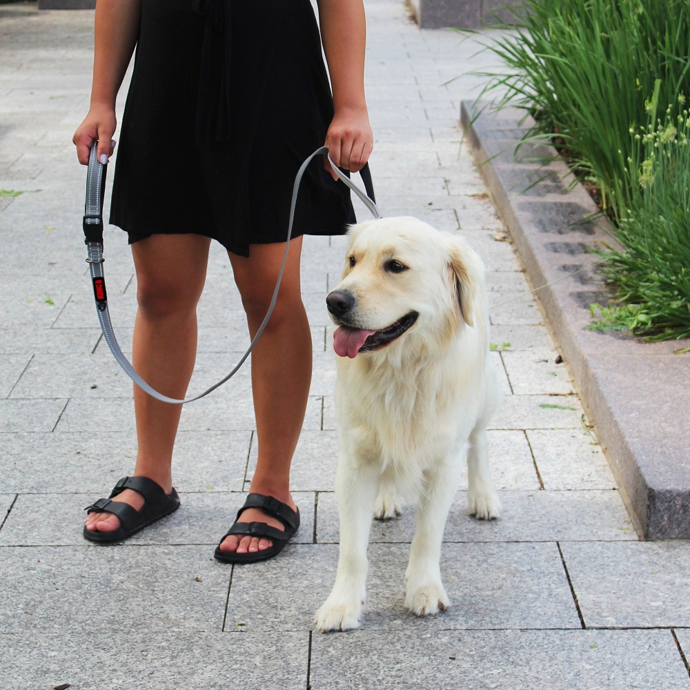 Guia p/ Cachorro Kong Traffic Leash Cinza M 1,5m