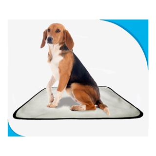 tapete higiênico para cães, pet, lavável, 2 un M - 60X80 cm em Oferta na Shopee