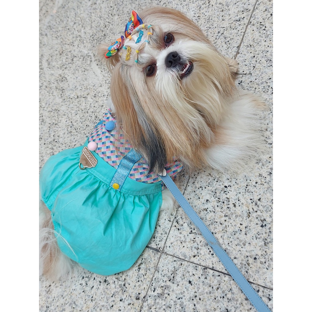 Fantasia Pet - Macacão Palhacinho para cachorro e gato