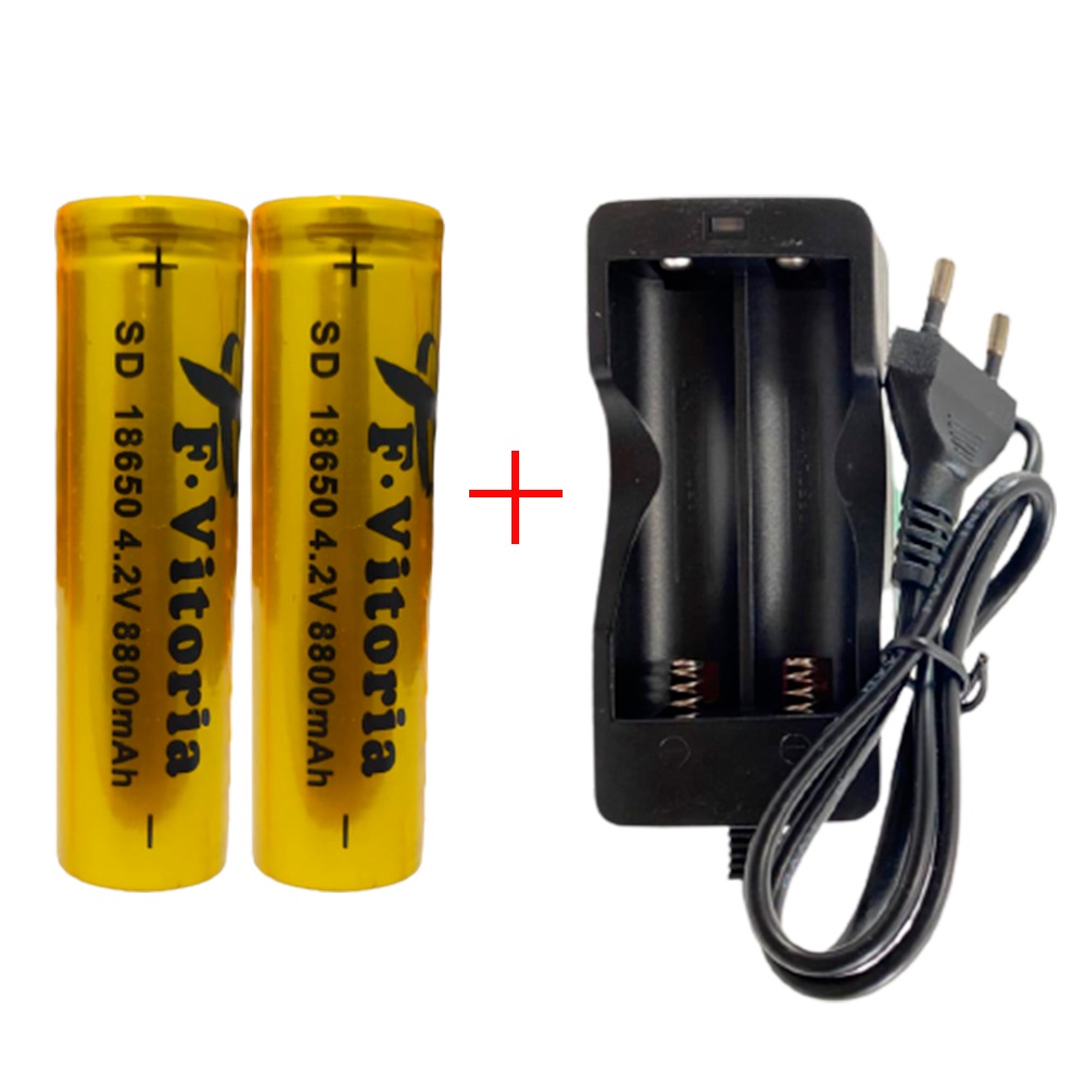 Kit 2 Baterias 18650 com Pino + Carregador Turbo Duplo 3.7v/4.2v para Lanterna Microfone Lâmpada Robôs