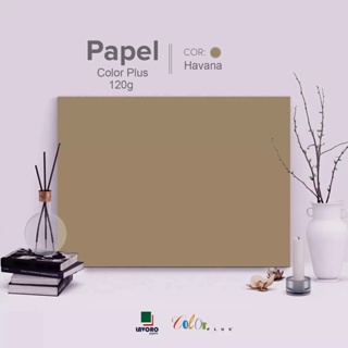 Papel Color Plus 120g 30,5x30,5 - Marrom Claro (Havana) - 30 Folhas em Oferta na Shopee