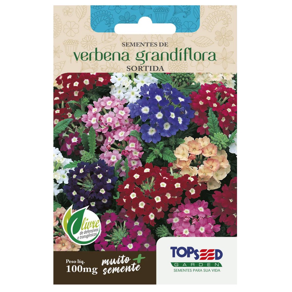 Sementes de Verbena Grandiflora [Sortida] TOPSEED