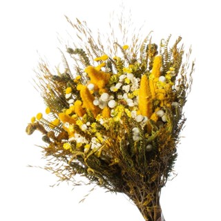 Buque de Flores Seca Rabo de Coelho Gato Amarelo Decorar