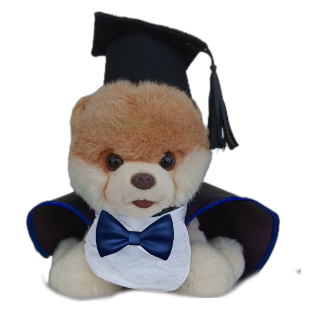 Beca Pet Formatura kit fantasia cães e gatos