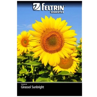 Sementes de Girassol Sunbright [Amarelo] FELTRIN