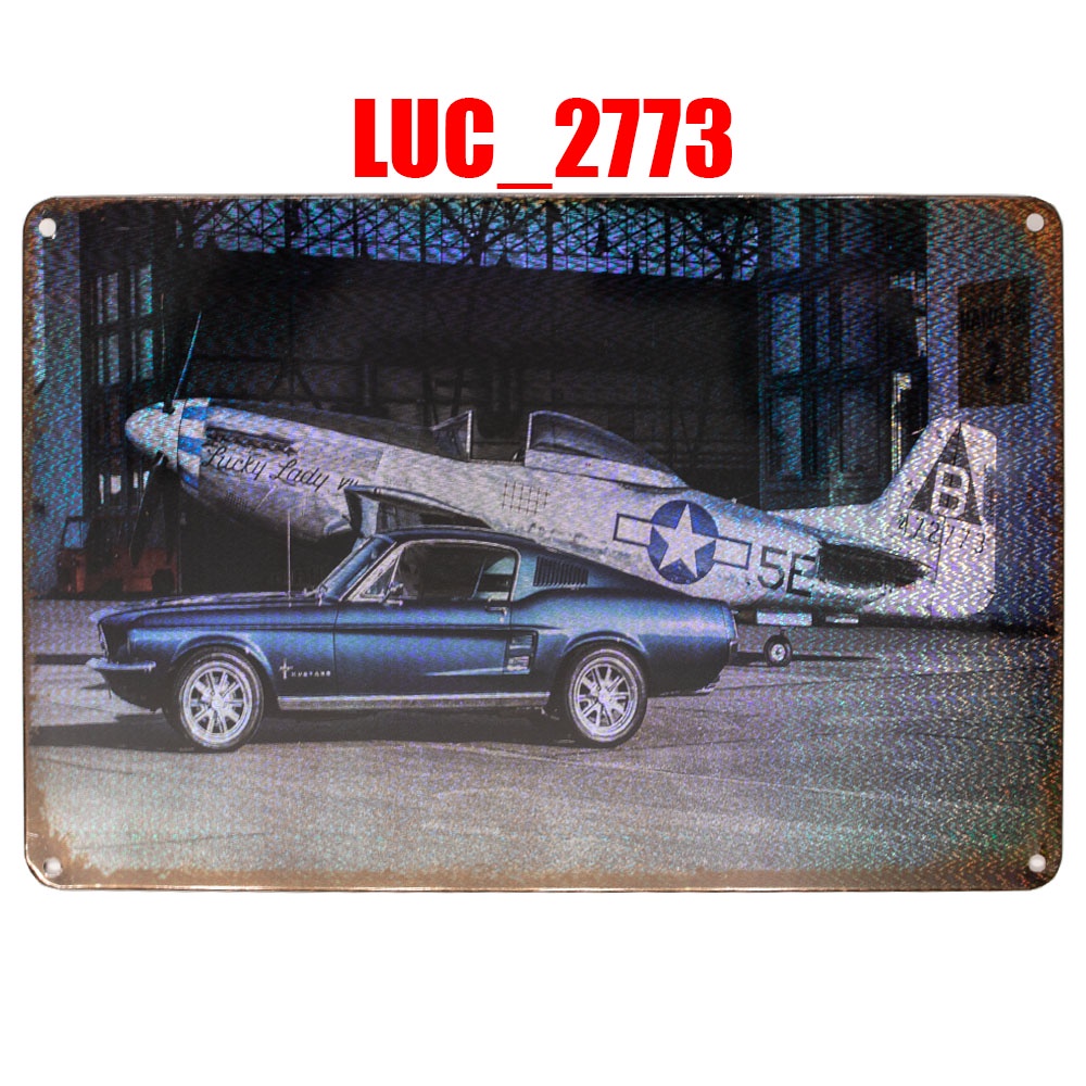 Avião Decorativo de Metal: Onde Comprar | BuscaProdutos