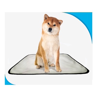 tapete absorvente lavável para higiene pet 1un M - 60X80 cm em Oferta na Shopee