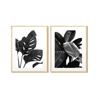 Dupla de Quadros Decorativos Preto e Branco Folhagens