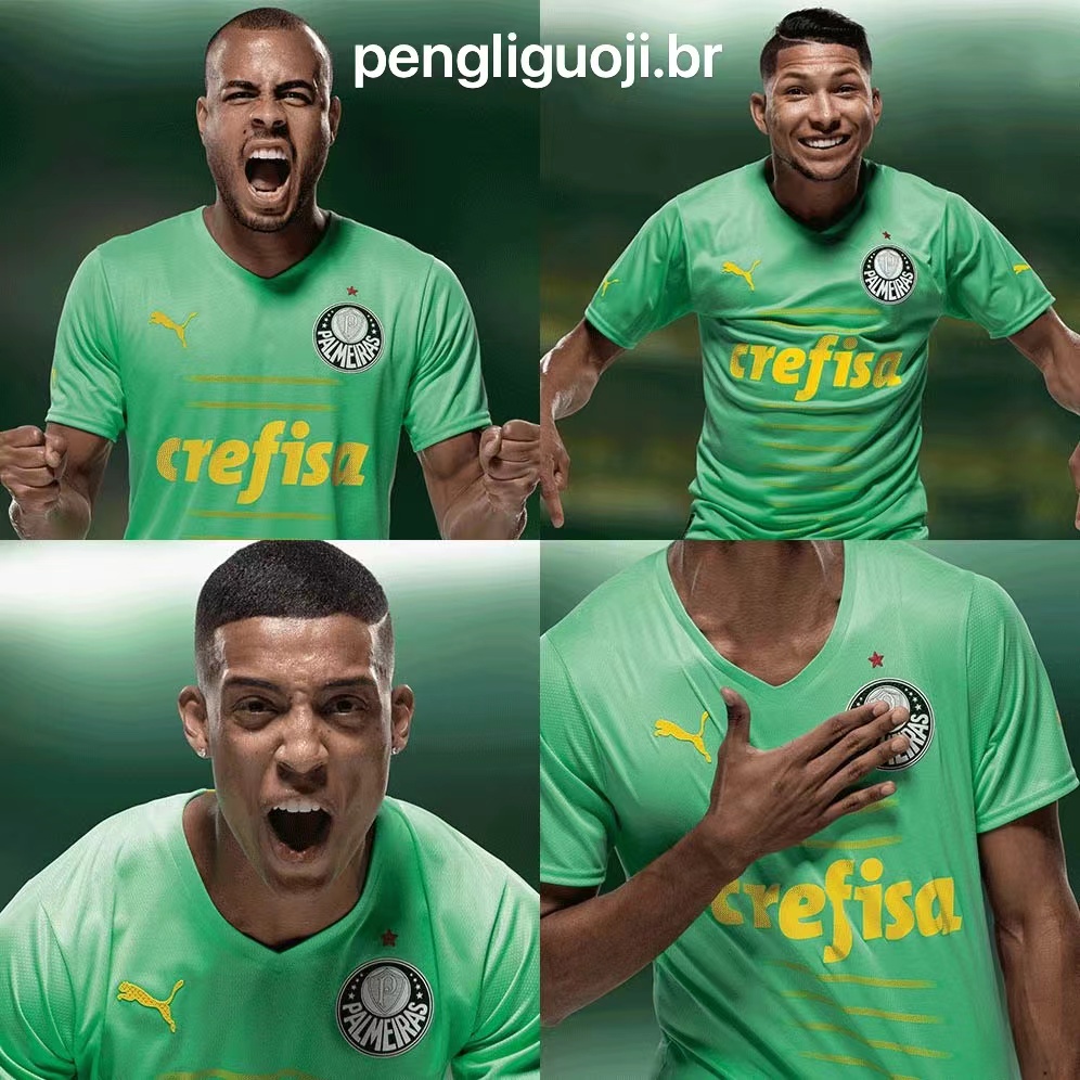 camisa do palmeiras 2023-2024 A Nova Casa Verde Branca Qualidade Premium De  Futebol Personalizada Masculina - Escorrega o Preço