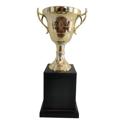 Trofeu Mini Taca Premio Simbolico Destaques Oficial