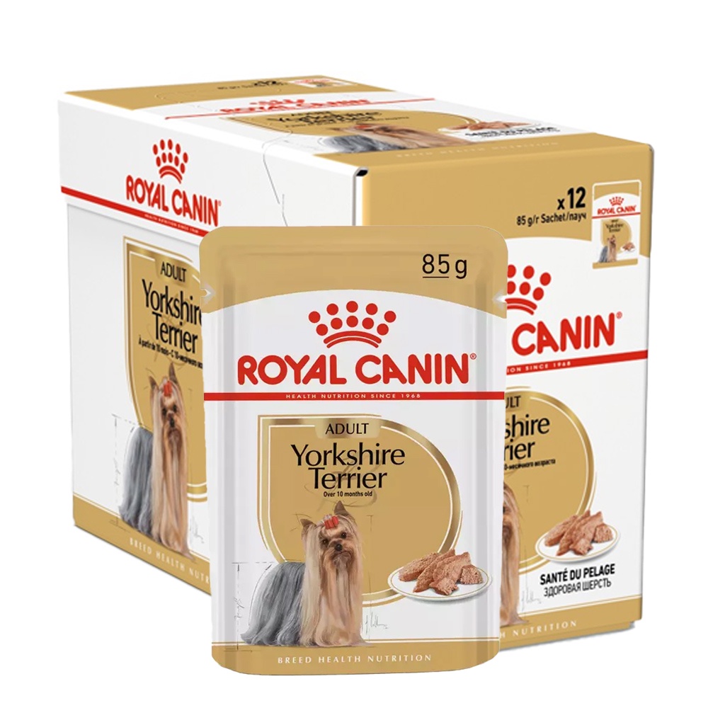 Caixa 12un Ração Úmida Sachê Royal Canin Yorkshire Cães Adultos 85g