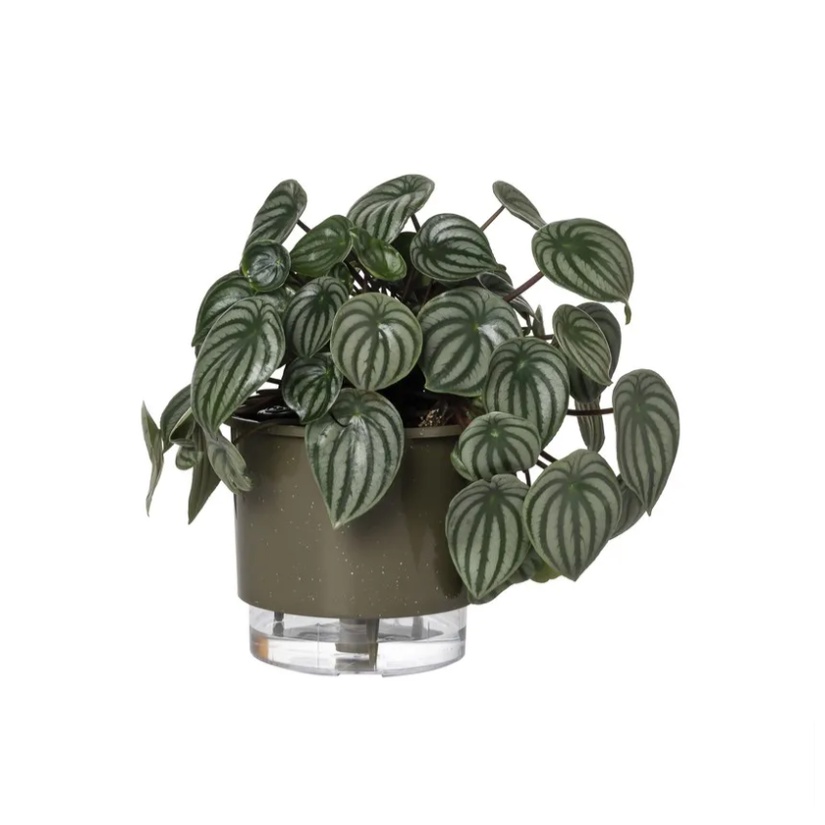 Auto 03: Guia Completo e Onde Comprar | BuscaProdutos