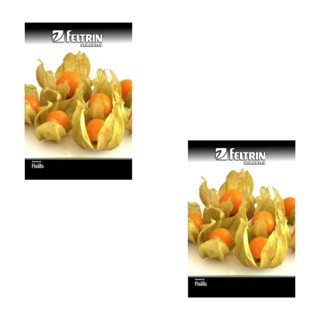 2X Sementes de Fisális [GoldenBerry] FELTRIN em Oferta na Shopee