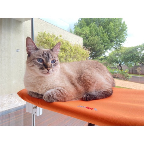 CAMA DE JANELA PARA GATOS PETLON - LARANJA em Oferta na Shopee