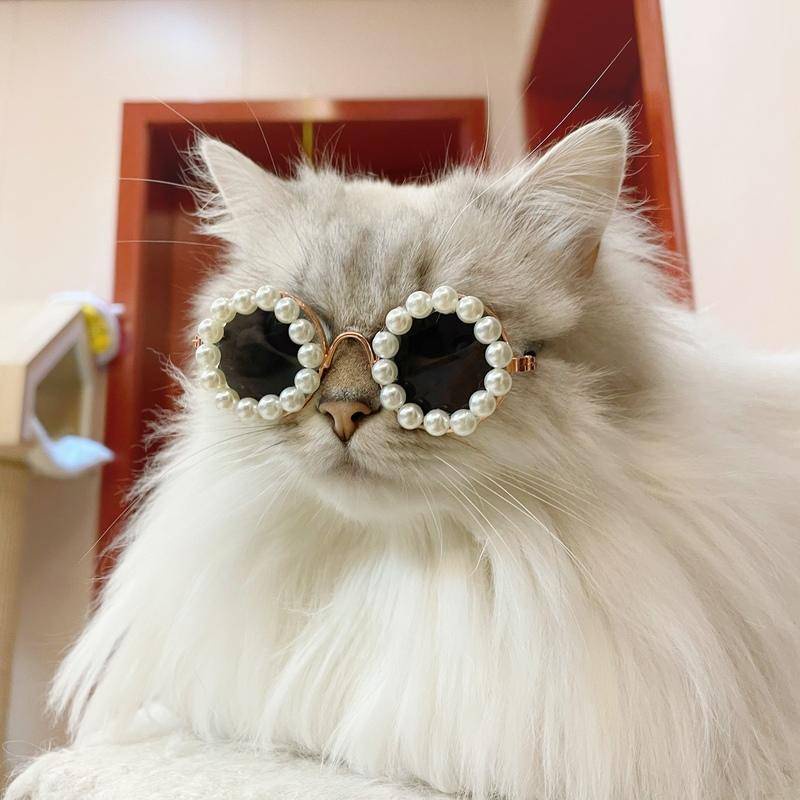 Óculos Para Cachorro De Sol Gatos Animais De Estimação Moda Fofa Cosplay em Oferta na Shopee