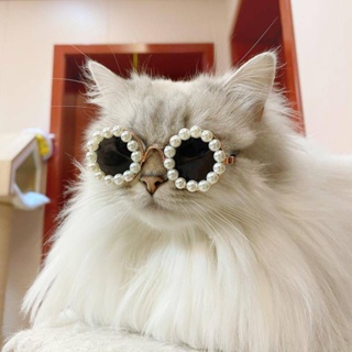 Óculos Para Cachorro De Sol Gatos Animais De Estimação Moda Fofa Cosplay em Oferta na Shopee