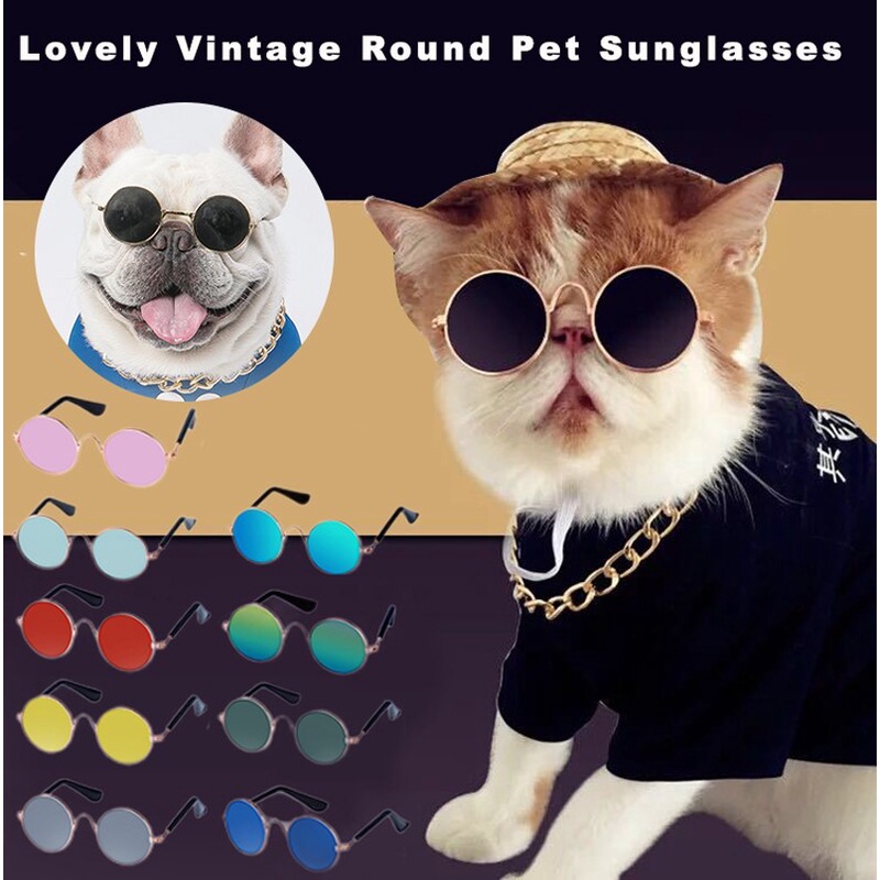 Amável Vintage Redondo Cachorro Gato Óculos De Sol Reflecção De Olhos Para Pequenos Pet Fotos Acessórios